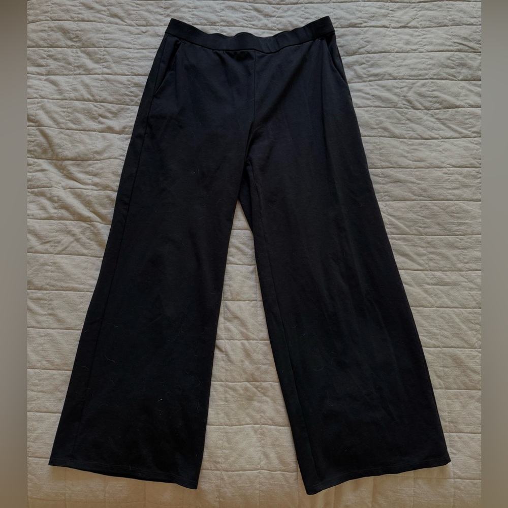 NWOT Eileen Fisher Wide-Leg Ankle Pant • Size M